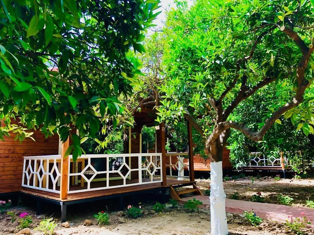 Village Garden Pansiyon Antalya Turkey