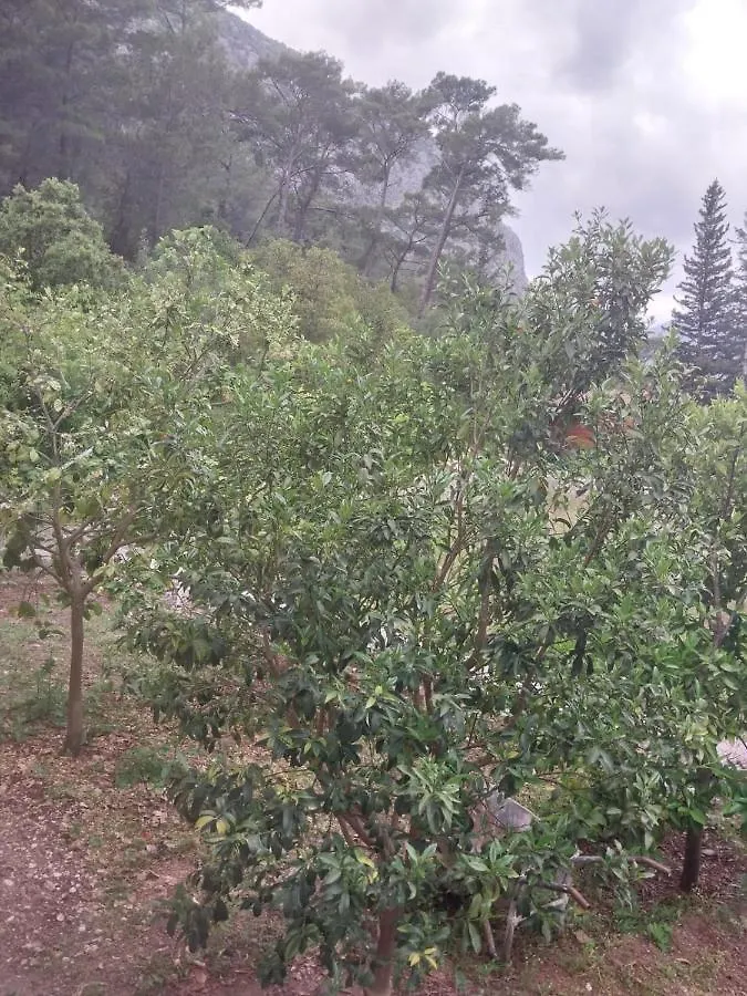 Village Garden Pansiyon Antalya Turkey