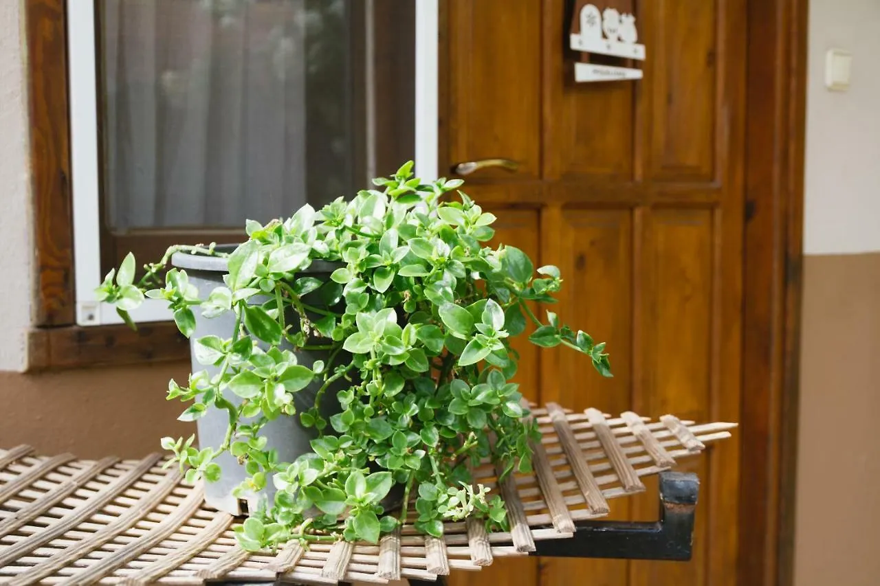 Village Garden Pansiyon Анталья